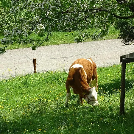 Biobauernhof Fritzn * Althofen (Carinthia)