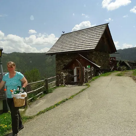 Farm stay Biobauernhof Fritzn *