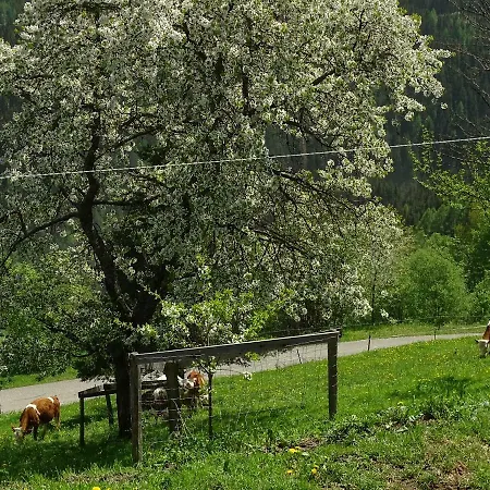 Farm stay Biobauernhof Fritzn *